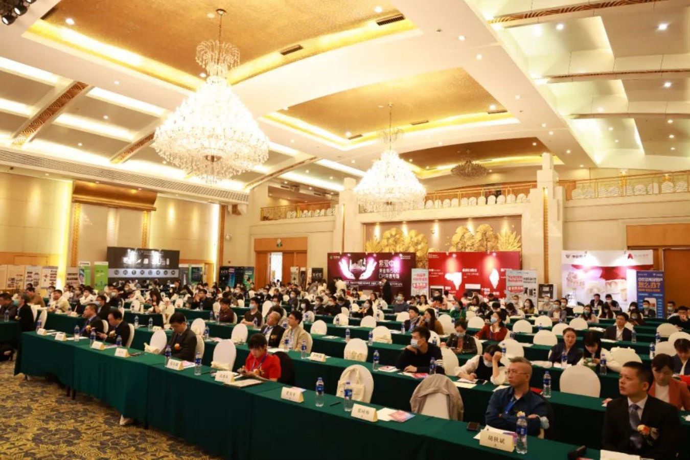 共寻行业新标准，共探齿科新未来！