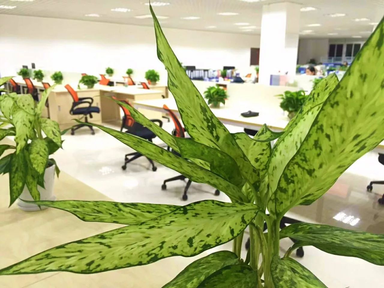 换个地儿,依然为您的口腔健康打Call 换个地儿,依然为您的口腔健康打Call