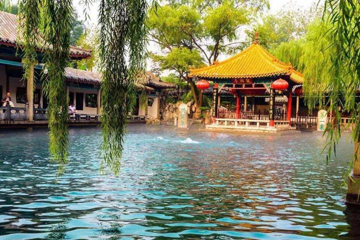 这一“课”,乐美瓷与您相约济南 这一“课”,乐美瓷与您相约济南